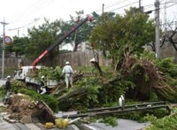 台風での保険支払い、過去最高118億円　沖縄を直撃した18年の24号　