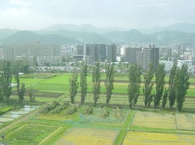 ポプラ並木を倒した台風――9月の気象災害――