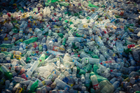 プラスチックごみの問題と人為的環境災害リスクの連鎖