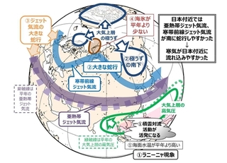 ラニーニャなどで偏西風蛇行し大雪に | 防災・危機管理ニュース