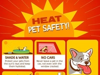 ペットの熱中症：炎天下の車内に置き去りにされたペットの救出方法
