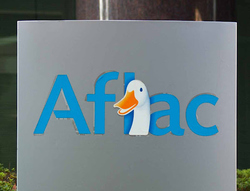 アフラック、４３８万人分情報流出＝不正アクセス、２３万人は口座情報も