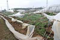 【台風15号】農林水産被害193億円に拡大　いけすなど停電影響も　東日本大震災超え濃厚