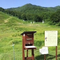 個人行動でも周囲との情報共有は必須