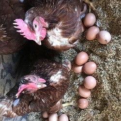 世界に広がる新型コロナウイルス感染（3）