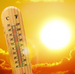 南国より暑い？気温40度のイギリスで混乱