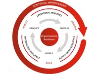 英国規格協会が提案する「組織レジリエンス」の指標