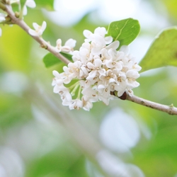 昭島市に学ぶ。２週間であなたの街の防災力を格段にあげる方法