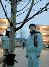 災害公営住宅に優しい光　福島・いわきの勿来工高生が飾り付け