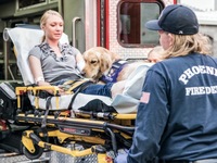 補助犬およびサービスアニマル（情緒障害サポート犬）の救急搬送