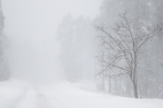 人命を奪う暴風雪―3月の気象災害― | 気象予報の観点から見た防災のポイント | リスク対策.com | 新建新聞社