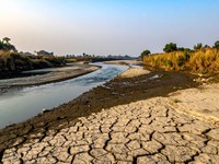 温暖化による渇水対策強化へ、初の有識者会議を設置
