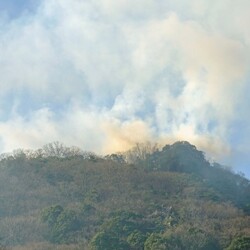 林野火災―4月の気象災害―