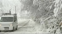 盛岡で初雪　約７６０戸で一時停電　JR山田線が運転見合わせ　県内各地で倒木＜岩手県＞