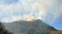 林野火災―4月の気象災害―