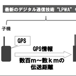 無線網確立し丸の内で災害時活用へ