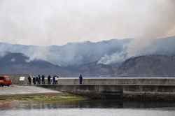 山林火災、市の９％焼失＝２９００ヘクタールに―雨「延焼食い止める効果」・岩手県大船渡市