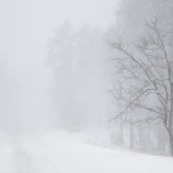 人命を奪う暴風雪―3月の気象災害―