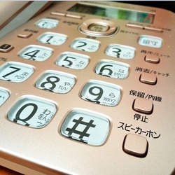 15日から安否確認サービスの体験利用