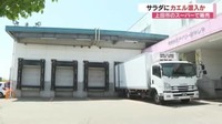 サラダにカエル混入か　スーパーで販売　客から連絡…製造会社が経緯を公表、謝罪　保健所が立ち入り検査