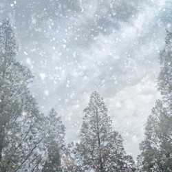 大雪の目安となる上空の寒気とその調べ方