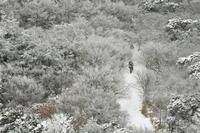 九州北部、21日～22日ごろにかけ大雪のおそれ　強い冬型の気圧配置に