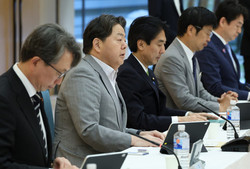 サイバー新戦略、年内に策定＝能動防御導入受け―政府