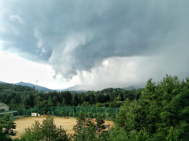 避難の心得 基本編⑤風害について 知って得する気象・防災知識 新建新聞社