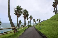 台風14号は最大ハリケーンの1つ下レベルに相当　米メディアも警戒呼びかけ