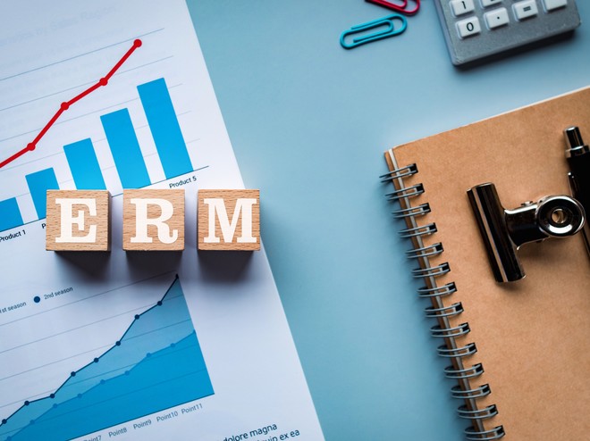 リスクの3要素 ERMと地球環境リスク 新建新聞社