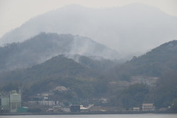 岡山、愛媛で山火事相次ぐ＝けが人１人、避難指示も