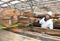 阿蘇神社の楼門修復、工期１年延長　耐震補強も導入、２３年度完成へ　熊本地震３年 [熊本県]