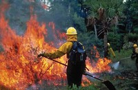 アメリカで深刻化する森林火災