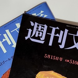 永野芽郁と田中圭の報道から考える広告リスクタレントの不倫疑惑