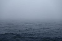 紫雲丸事故（霧による海難）―5月の気象災害―